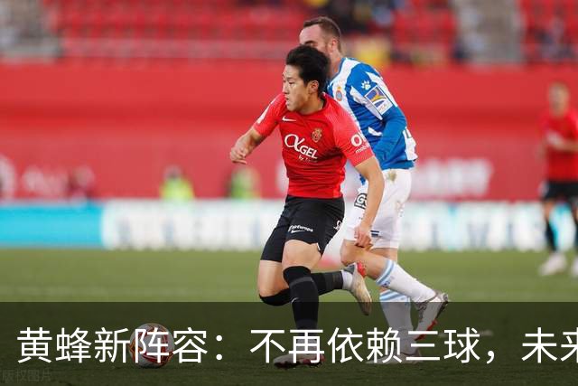 黄蜂新阵容：不再依赖三球，未来可期！